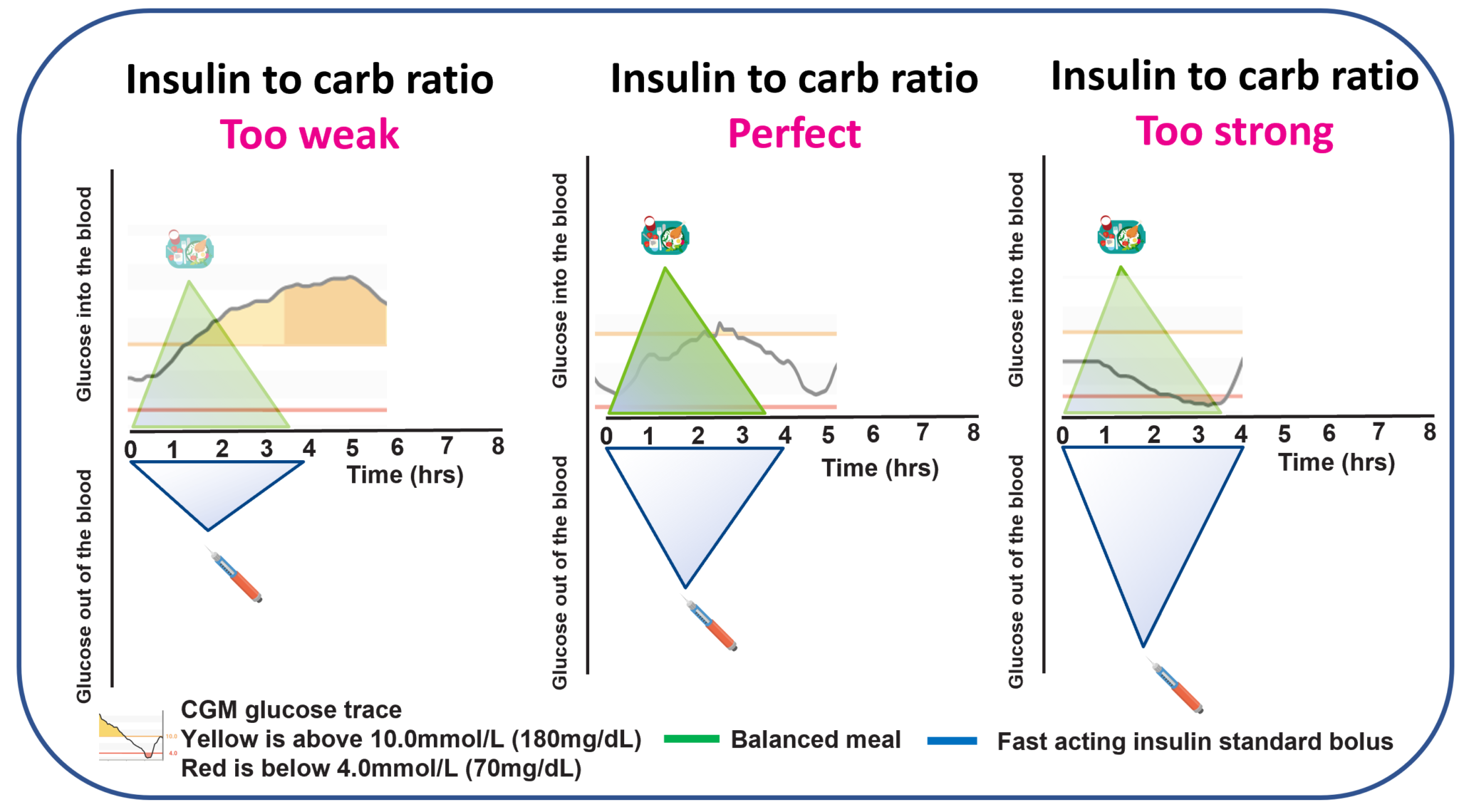 Bolus Insulin - The Glucose Never Lies