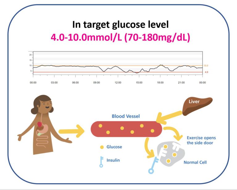 Continuous Glucose Monitoring (CGM) The Glucose Never Lies