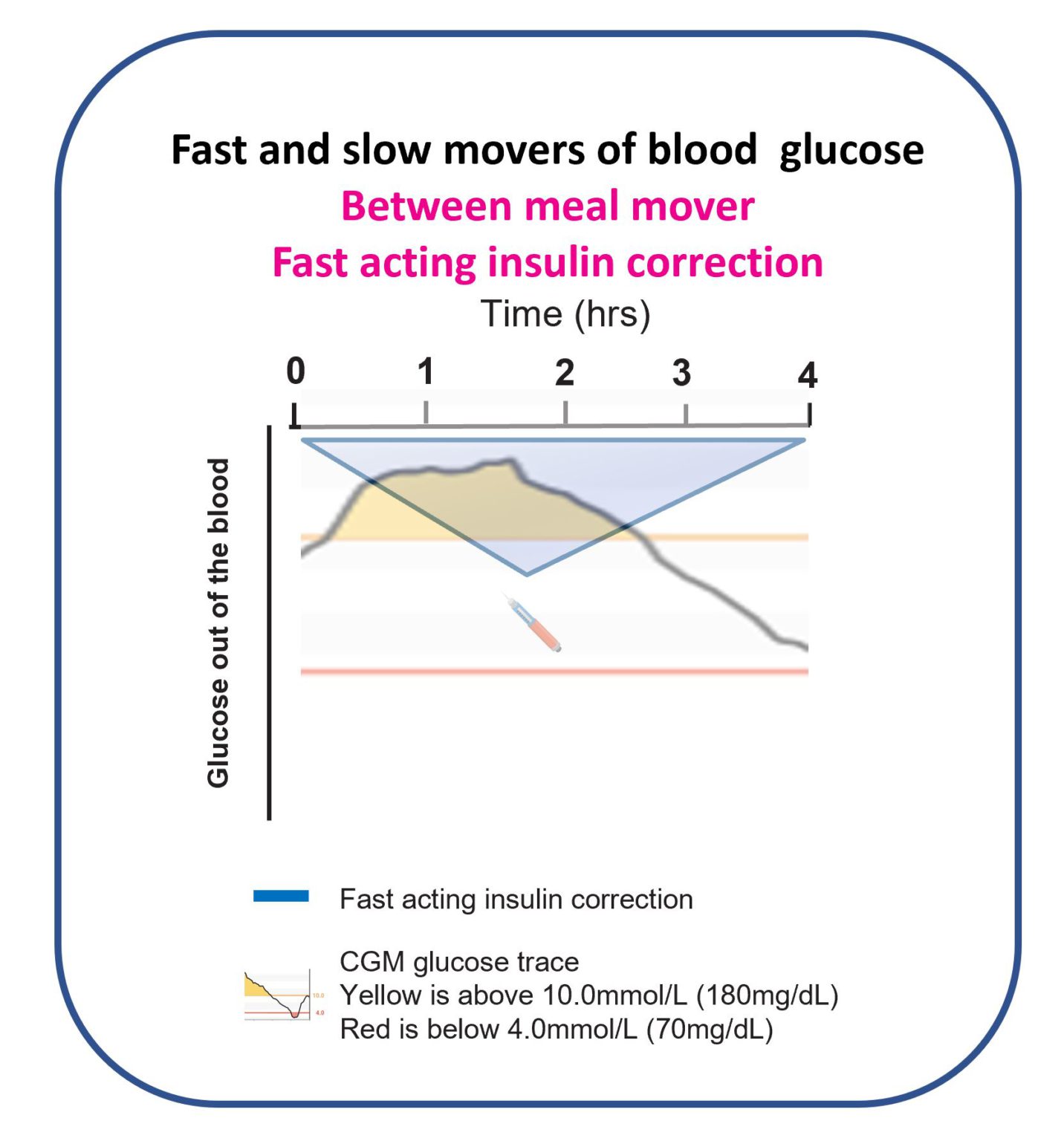 Correction Insulin The Glucose Never Lies