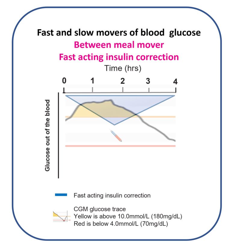 Correction Insulin - The Glucose Never Lies