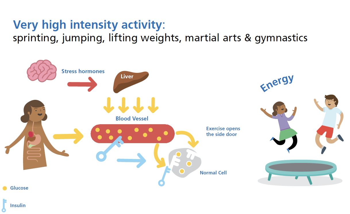 Exercise Guide The Glucose Never Lies 174 