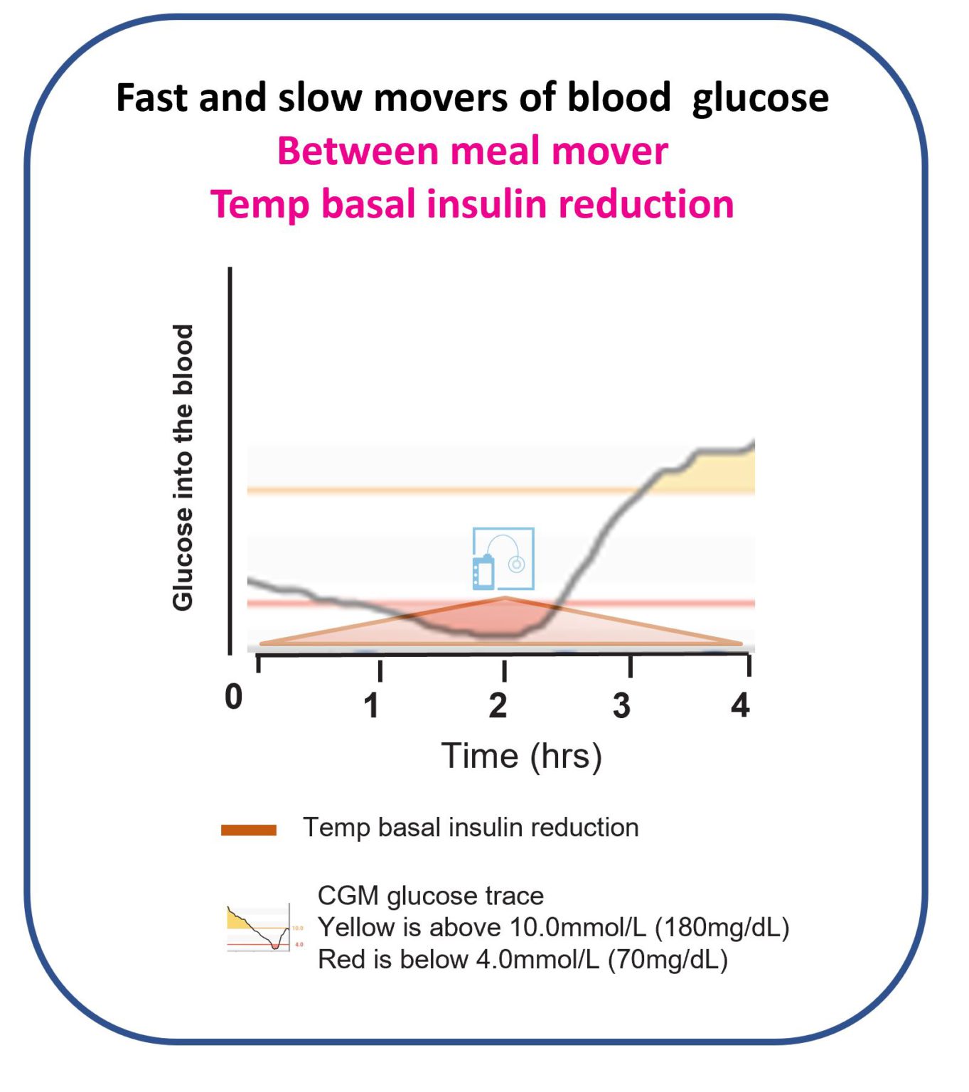 Basal Insulin - The Glucose Never Lies