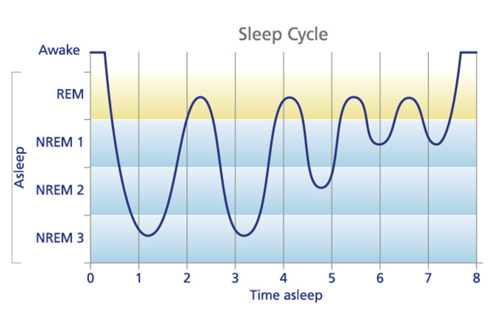 How to survive school holidays with type 1 diabetes? - The Glucose ...