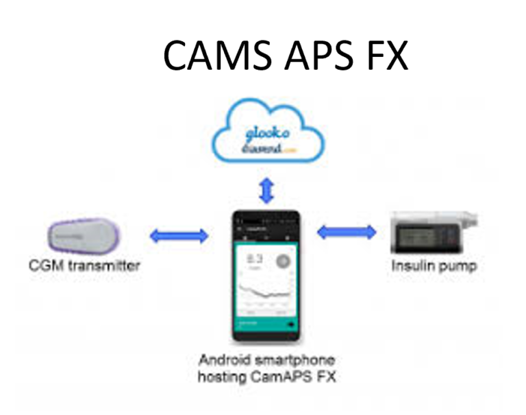 Tips & tricks CamAPS FX The Glucose Never Lies